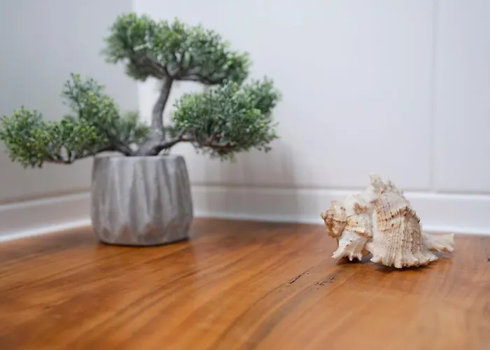 Yu كيلينهوسن